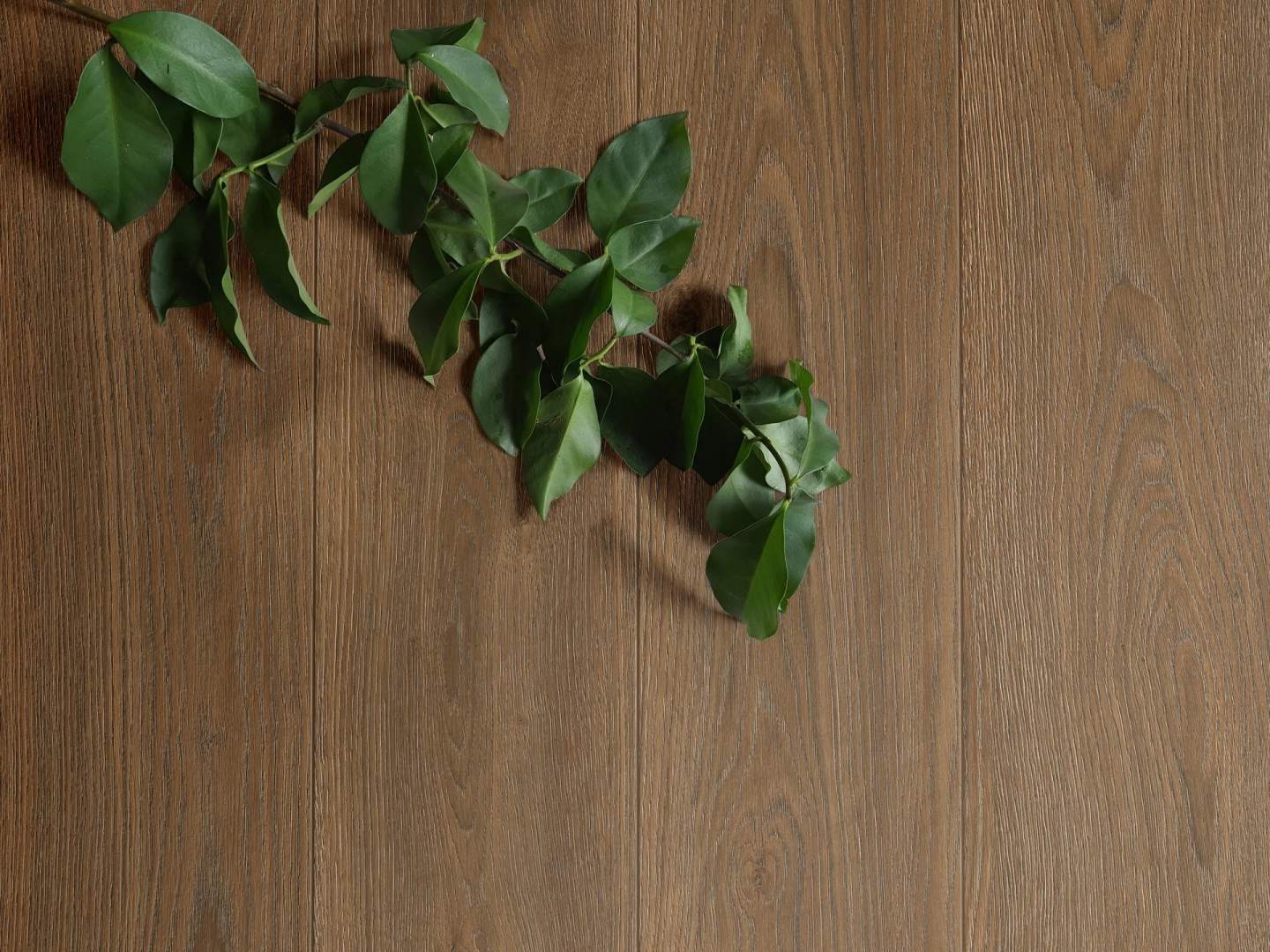 Płytki gresowe Marazzi Alma efekt drewno w eleganckim salonie z dużymi przeszkleniami